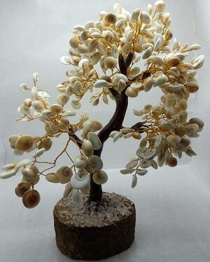 White Aura Vastu Store