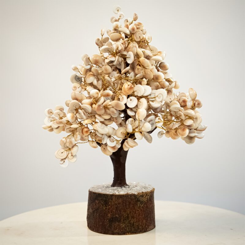 White Aura Vastu Store