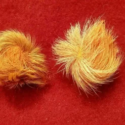 Original & Energised Siyar Singhi – Gidar Singhi